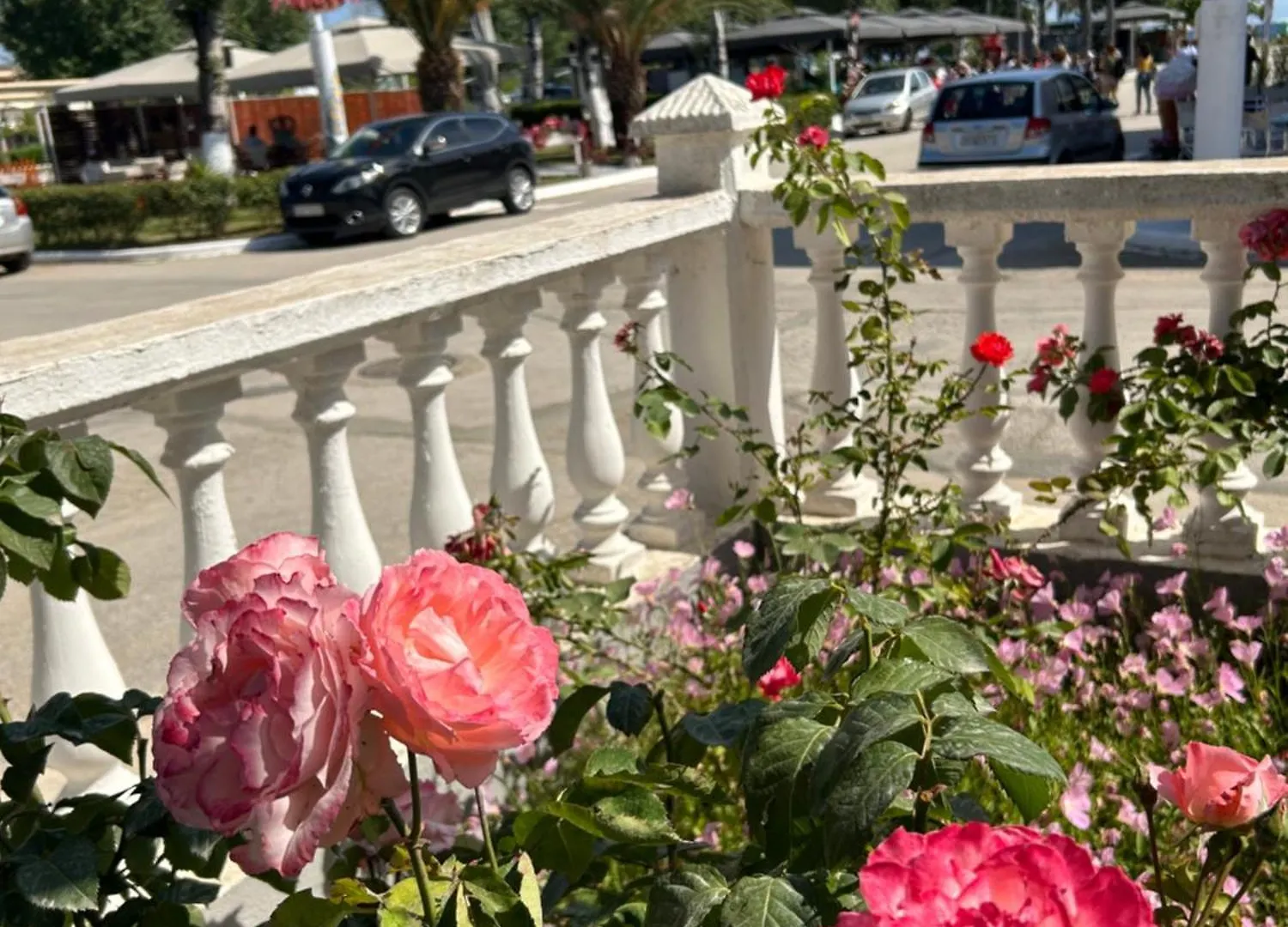 Dionisos Roses Ξενοδοχείο Παραλία Διονυσίου